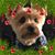 Bernadine Addis-Fredriksen's profile image