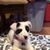 Katina Lynn Salisbury's profile image