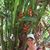 Jackie Jawlik-Mack's profile image