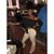 Sierra Perry's profile image