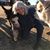Debra Houck's profile image