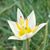 Jennifer Knutson's profile image