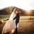 Tabitha Bennett's profile image