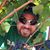 Rick Weaver's profile image