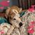 Andrea Riddle's profile image