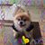 Tammy Nicosia's profile image