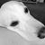 Kim Kinley's profile image