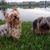 Terri Hunter Reeves's profile image
