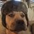 Kevin Eugene Morford's profile image