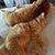 Heather Haack's profile image