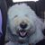 Peg Herlocher's profile image