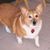 Millie Drabing's profile image