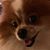 Donald Mary Rutherford's profile image