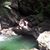 Shirli HauckMillar's profile image