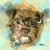 Alicia Hiles Boso's profile image