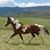 Ellen Spalding Storeim's profile image