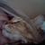 Judy Williams's profile image