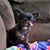 Kendra Parsons's profile image