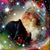 Susie Nichols-Randall's profile image