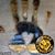 Lance Sur's profile image