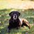 Tricia Hunt Fletcher's profile image