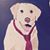 Karen Morrissey's profile image