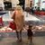 Marsha Maze Wolff's profile image