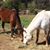 Sarah Waldrop Kibble's profile image