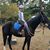 Jane Hope Maples's profile image