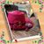 Lynn Bundorf-Taylor's profile image