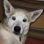 Savannah Marina's profile image