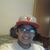 Israel Ramos's profile image