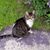 Eric-Karen Saari's profile image