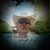 Johnny Handyman's profile image