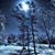 Robin Wenzel's profile image