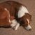 Patricia Boo Titchenal's profile image
