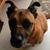Angie Alfano Anderson's profile image
