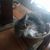 Amy Riz Riser's profile image