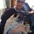 Fredrik Viklund's profile image