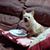 Elaine Lainey Lacey's profile image