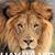 Hayavi Moradi II's profile image