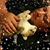 Chris Beals's profile image