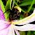 Stacey Tinney's profile image