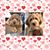 Kathryn Lopez's profile image