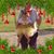 Lynn Bradley's profile image