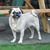 Laura Evankovich's profile image