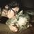 Katie Jaehne's profile image