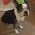 Samuel Husted's profile image
