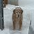 Louise Buhler's profile image