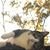 Deborah Cloud Waggoner's profile image